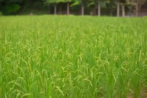 猿田彦神社(三重県)