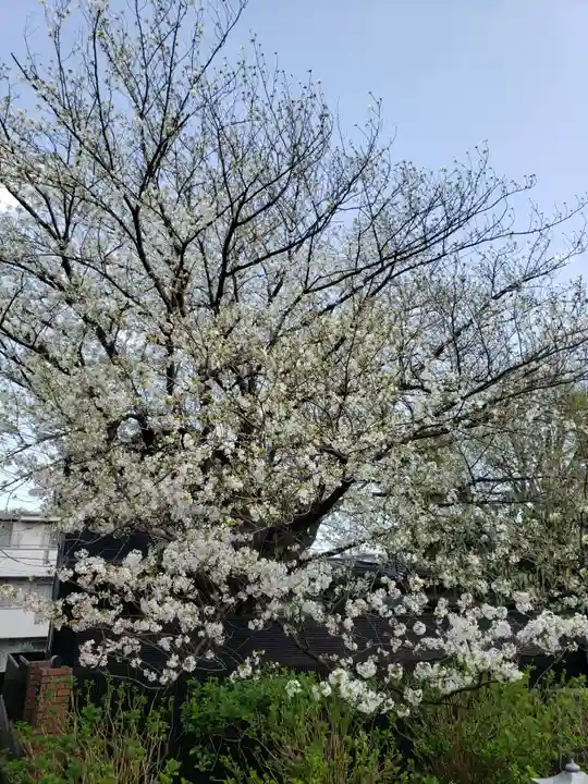 福蔵院(東京都)