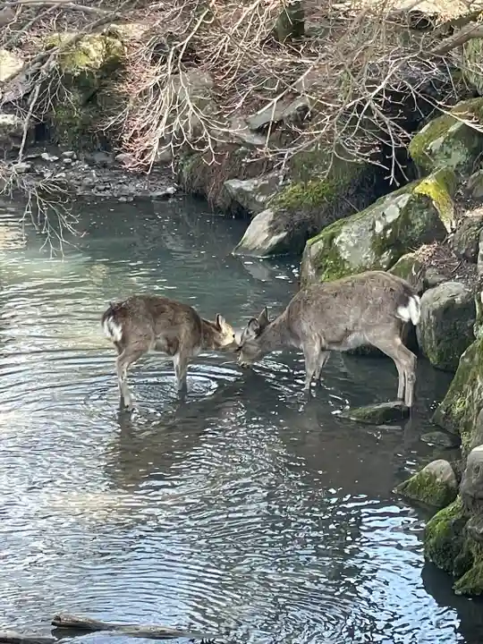 東大寺(奈良県)