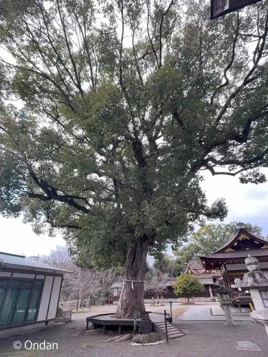 平野神社(京都府)