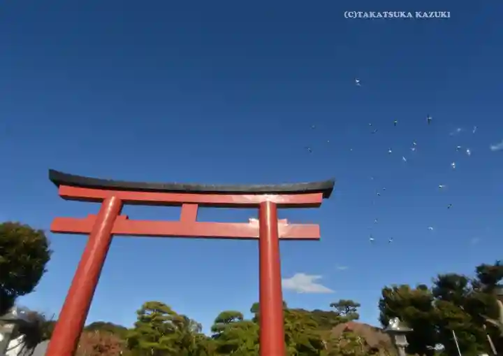 鶴岡八幡宮の鳥居