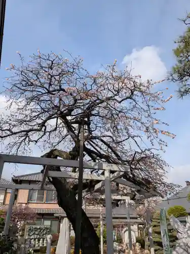 長善寺(東京都)