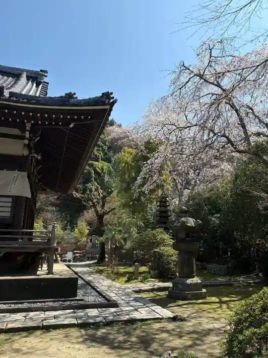 安國論寺(安国論寺)の{uncategorized: "未分類", other: "その他", undefined: "問題あり", building: "その他建物", grave: "お墓", sacred_gate: "鳥居", guardian: "狛犬", statue: "像", buddha: "仏像", history: "歴史", nature: "自然", garden: "庭園", animal: "動物", pagoda: "塔", temizu: "手水舎", mountain_gate: "山門・神門", sanctuary: "本殿・本堂", subordinate: "末社・摂社", art: "芸術", scenery: "景色", jizo: "地蔵", ema: "絵馬", goshuin: "御朱印", omikuji: "おみくじ", items: "授与品その他", amulet: "お守り", goshuincho: "御朱印帳", eats: "食事", festival: "お祭り", votive_dance: "神楽", shichigosan: "七五三参", wedding: "結婚式", experience: "体験その他", initially: "初詣", around: "周辺", anti_infection: "感染症対策"}