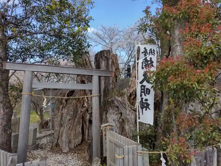楠大明神(三重県)