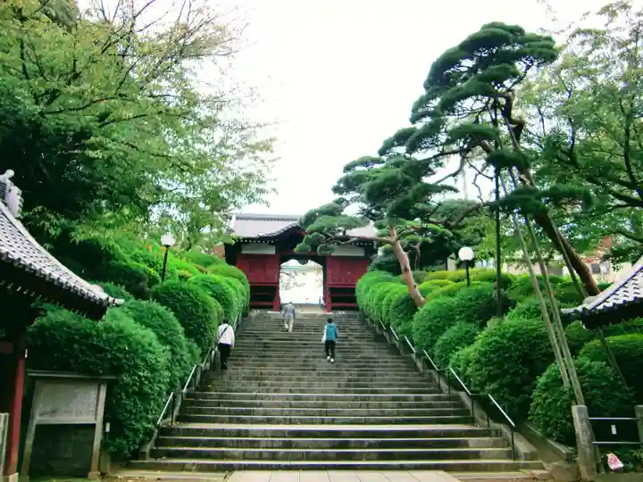 護国寺(東京都)