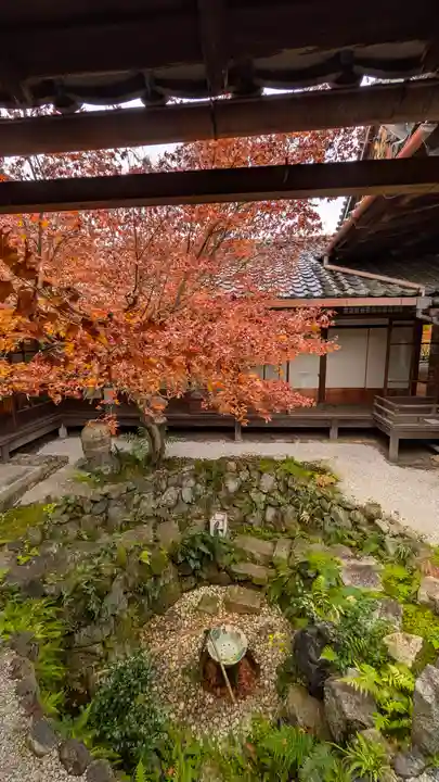 興聖寺(京都府)