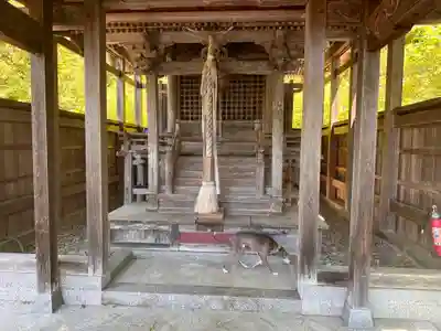 若宮八幡神社(福井県)