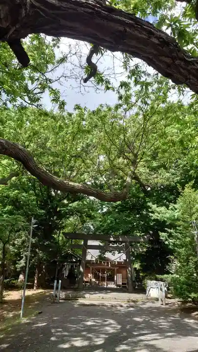 相馬神社のその他建物