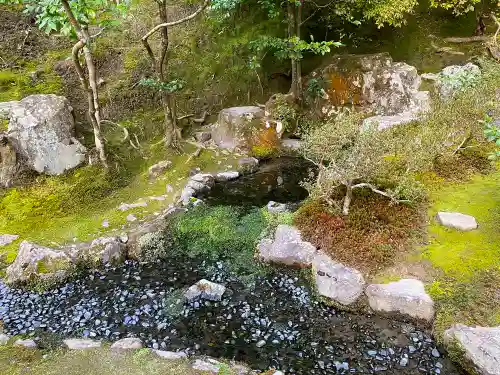 慈照寺（慈照禅寺・銀閣寺）の庭園