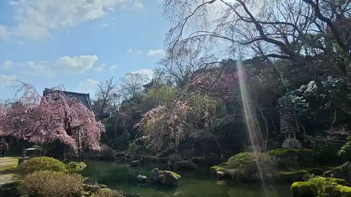 竹林院の庭園