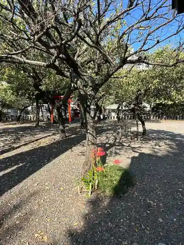 町田天満宮(東京都)