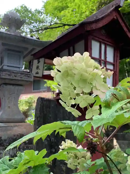 持寳院(多氣山不動尊)の自然