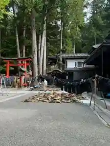 日枝神社(岐阜県)(2024年10月15日(火) 12時42分05秒投稿)