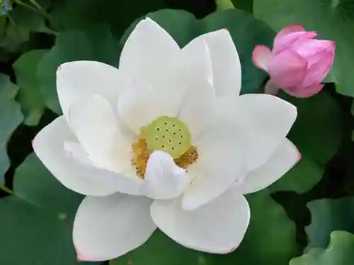 伊賀八幡宮(愛知県)