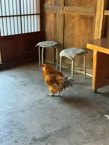 賀蘇山神社(栃木県)