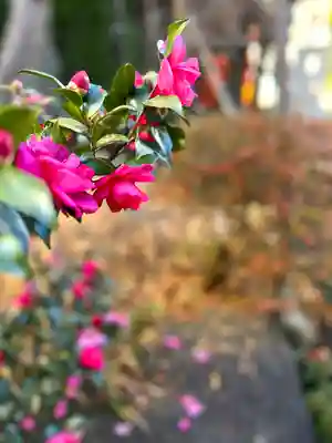 西光寺(長野県)