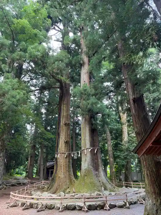 河口浅間神社(山梨県)