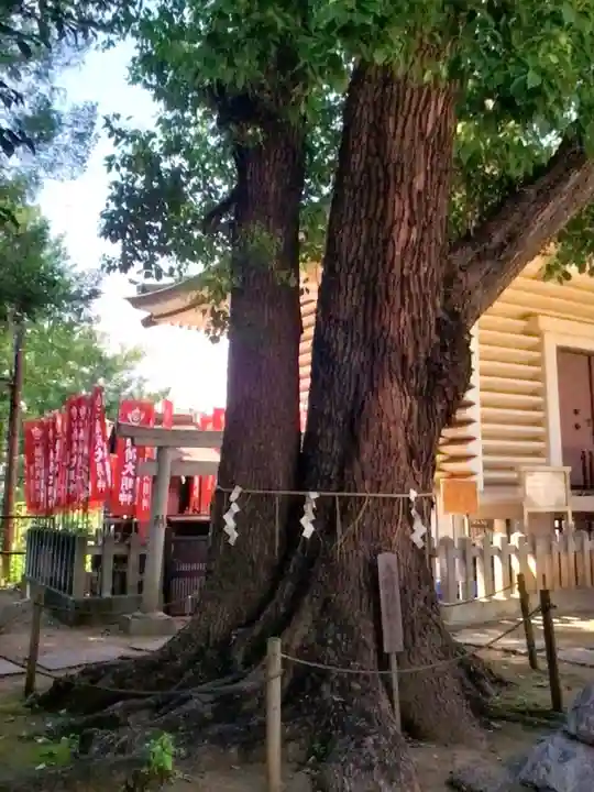 諏訪神社(東京都)