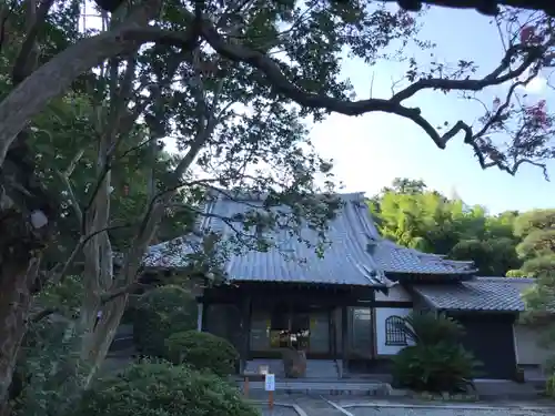 法泉寺の本殿・本堂