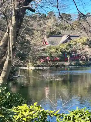 井の頭弁財天（大盛寺）(東京都)