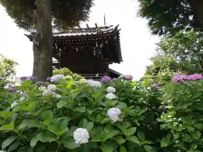 白山神社のその他建物