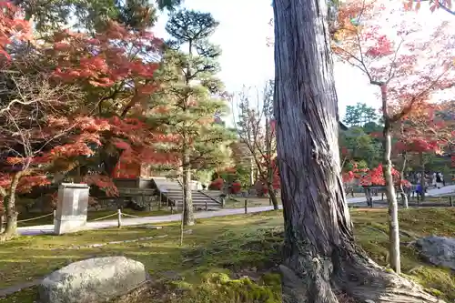 東福禅寺（東福寺）(京都府)