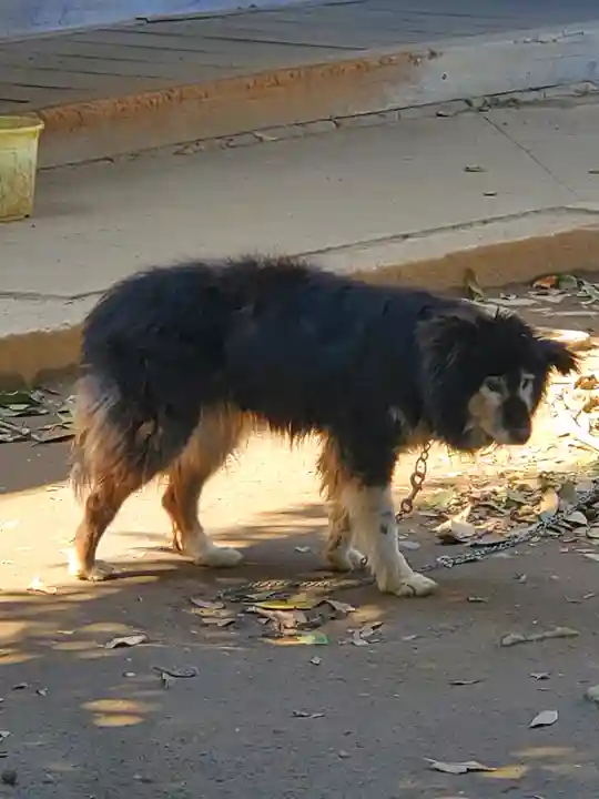 密蔵院(栃木県)