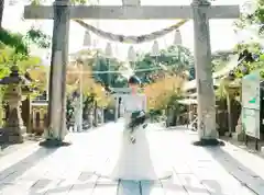 琴崎八幡宮の結婚式