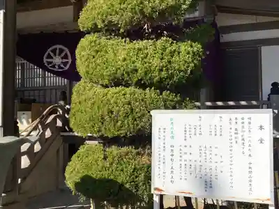 薬師院の本殿・本堂