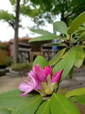 中野沼袋氷川神社(東京都)