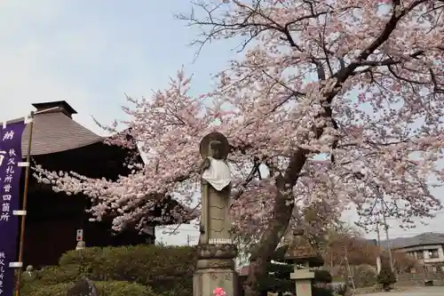 龍石寺の自然