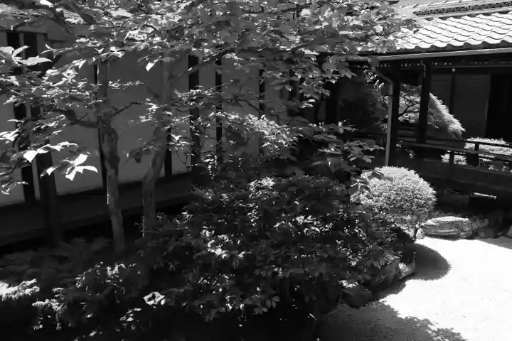 観智院(東寺子院)の庭園