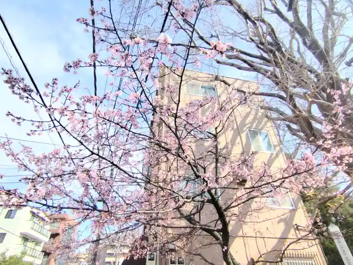意富比神社の{uncategorized: "未分類", other: "その他", undefined: "問題あり", building: "その他建物", grave: "お墓", sacred_gate: "鳥居", guardian: "狛犬", statue: "像", buddha: "仏像", history: "歴史", nature: "自然", garden: "庭園", animal: "動物", pagoda: "塔", temizu: "手水舎", mountain_gate: "山門・神門", sanctuary: "本殿・本堂", subordinate: "末社・摂社", art: "芸術", scenery: "景色", jizo: "地蔵", ema: "絵馬", goshuin: "御朱印", omikuji: "おみくじ", items: "授与品その他", amulet: "お守り", goshuincho: "御朱印帳", eats: "食事", festival: "お祭り", votive_dance: "神楽", shichigosan: "七五三参", wedding: "結婚式", experience: "体験その他", initially: "初詣", around: "周辺", anti_infection: "感染症対策"}