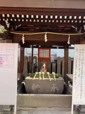 松尾稲荷神社(兵庫県)