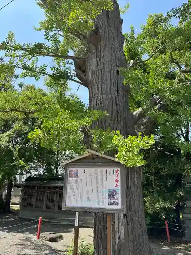 大宮神社(千葉県)