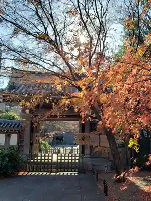 高円寺の山門・神門