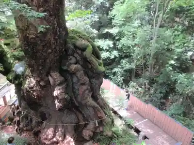 來宮神社のその他建物