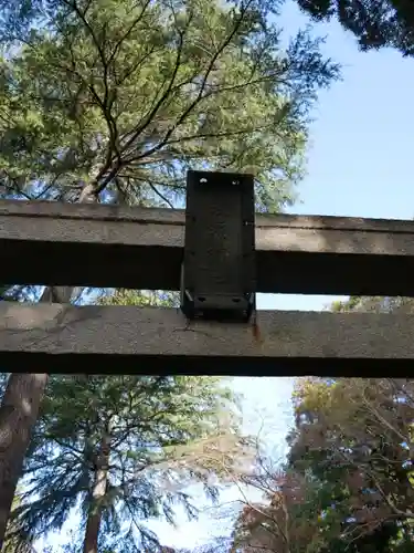 蛟蝄神社奥の宮の鳥居