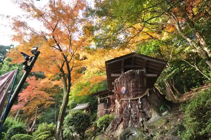 西山興隆寺(愛媛県)