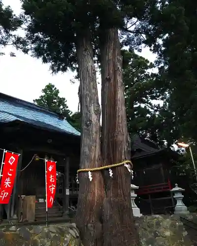 高司神社〜むすびの神の鎮まる社〜の自然