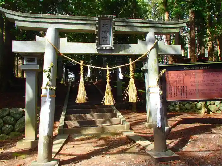 春日神社の鳥居