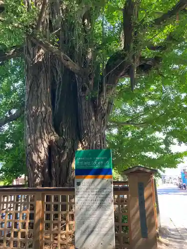 熊野大社(山形県)