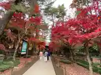 平林寺(埼玉県)