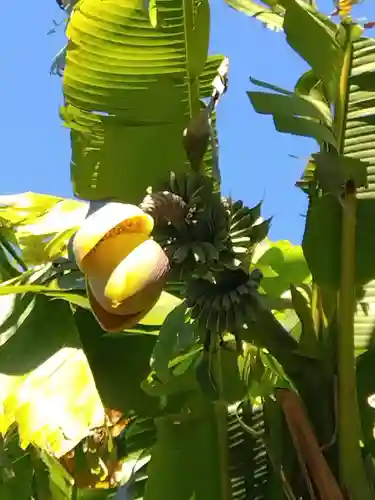 喜見寺(愛知県)