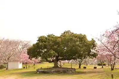 理正院(愛媛県)