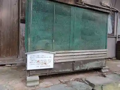 満光寺(愛知県)