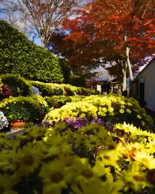 宝徳寺(群馬県)