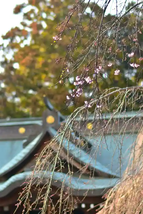 常陸第三宮 吉田神社(茨城県)