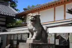 眞田神社の狛犬