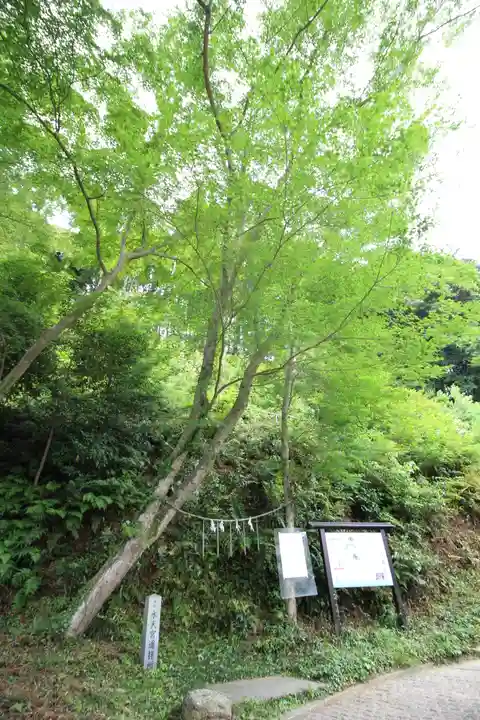 高麗神社(埼玉県)